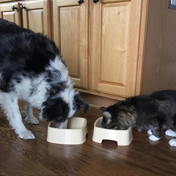 Easy to Feed Pet Bowl Set 4 Bowls + 1 Handle