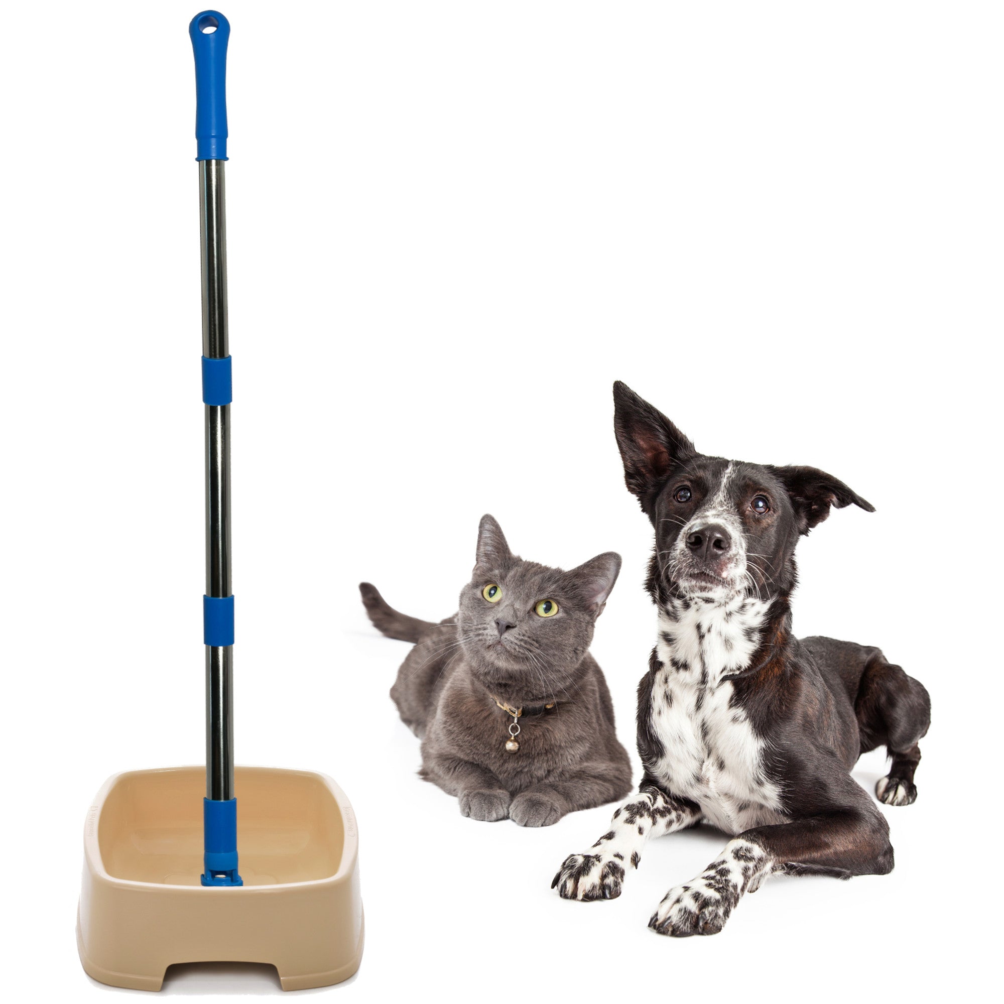 Easy to Feed Pet Bowl 1 Bowl Set