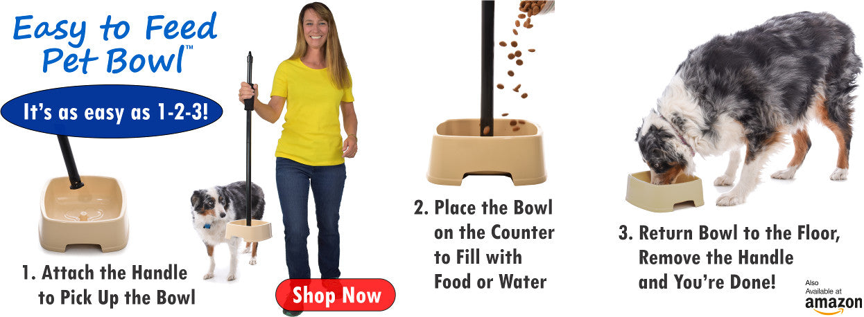 Dog bowl discount with handle