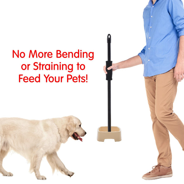 easy to feed pet bowl no more bending