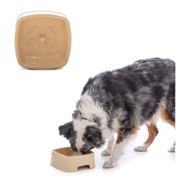 easy to feed pet bowl